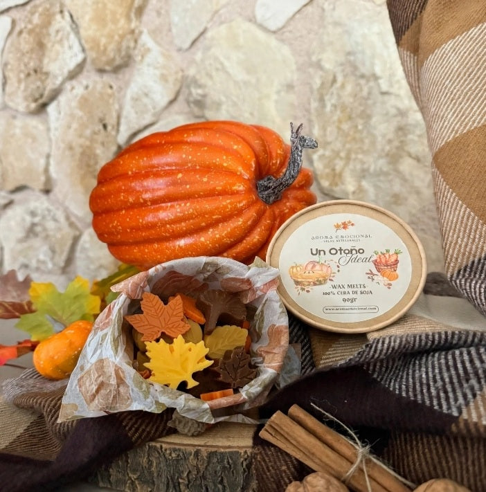 🥮🍂 Wax Melts Un Otoño Ideal